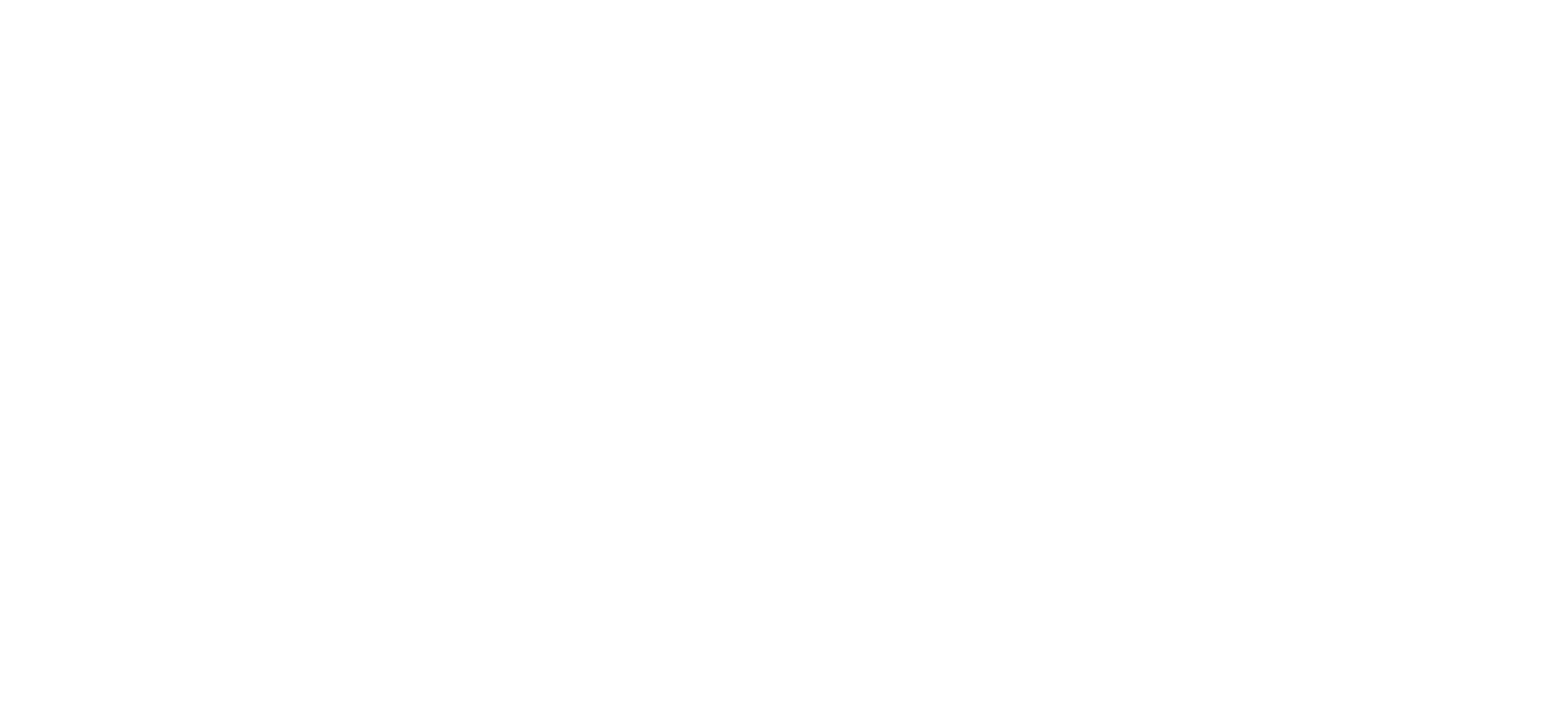 Carina Leagues