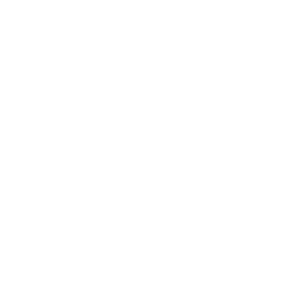 The Star
